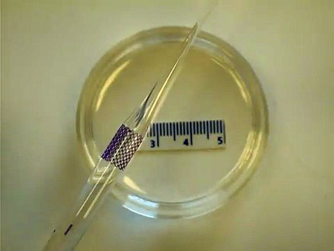 Crean un parche inyectable que puede reparar órganos dañados