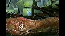 Resident Evil Biohazard 4D Executer HD Film (ITA)