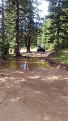 Mount Baldy mud hole #2