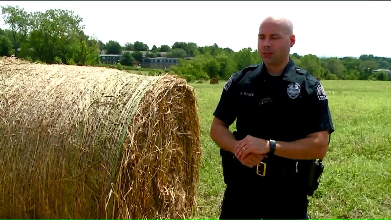 Missouri Woman Shot in Arm by Inaccurate Target Shooter