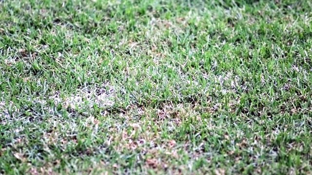 80% Jadi, Begini Bentuk Terkini Stadion Gelora Bung Karno