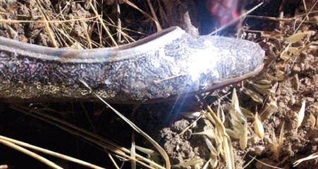 İzmir'deki Korkunç Cinayetin Tek Delili, 38 Numara Parlak Gümüş Babet