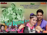 Tera Bantha Ka # New Pahadi Video# By- Sanjay Semwal & Meena Rana# Rudransh Entertainment