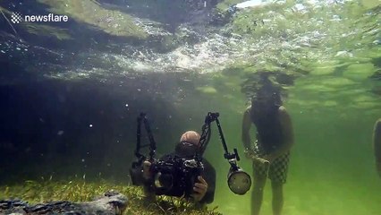 This is what it's like to be eaten by a crocodile