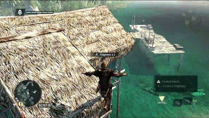 Assassin's Creed IV Wild Adventures in the caribbean