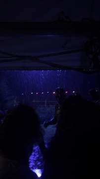 Festival Musicalarue à Luxey (40) : le dernier soir écourté par l'orage