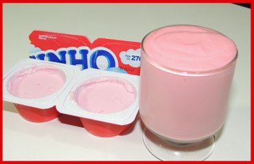 Vale a Pena Fazer  danoninho caseiro ?  Testando a receita