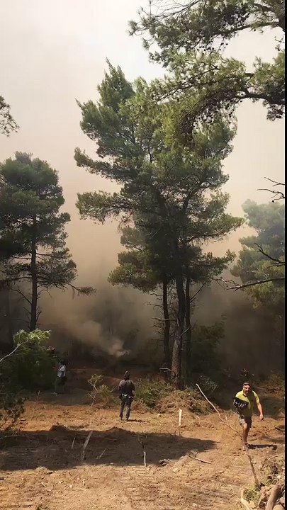 Συνεχίζεται η μάχη στα πύρινα μέτωπα της Ανατολικής Αττικής