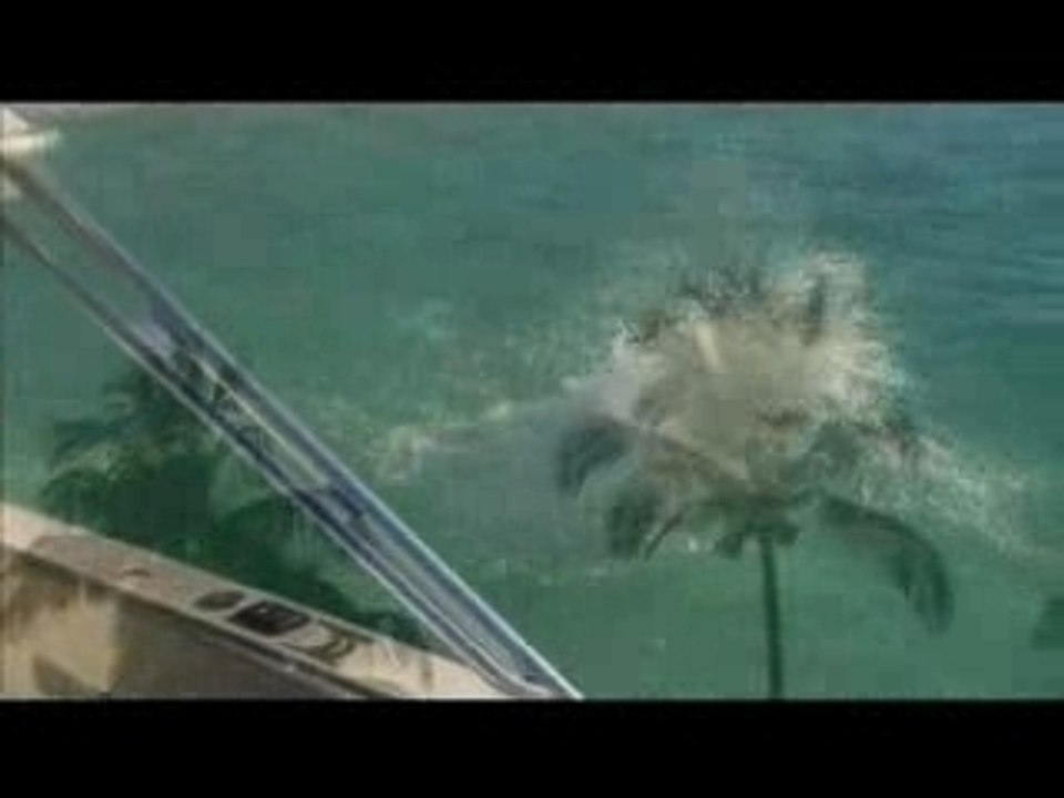 Bahamacrew Winter 05-06 Trailer