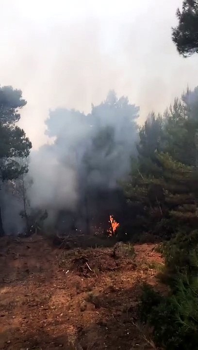 Πυροσβέστες εν ώρα κατάσβεσης