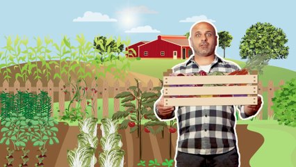 Uno chef rubato all'agricoltura   Spaghetti ai 3 pomodori