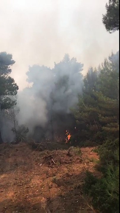 Μάχη των πυροσβεστών να μην ξεφύγει το μέτωπο προς Καπανδρίτι