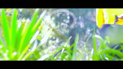 Karona Re Tore Se Pyaar - Adhunik Nagpuri