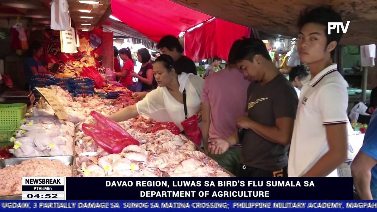 ATANGI ANG NEWS BREAK SA PTV DAVAO KARONG HAPON | Davao region, luwas sa bird's flu sumala sa Department of Agriculture