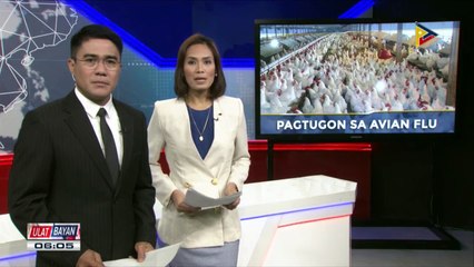 Palasyo, pinamamadali ang aksyon para tuluyang masugpo ang Avian Flu