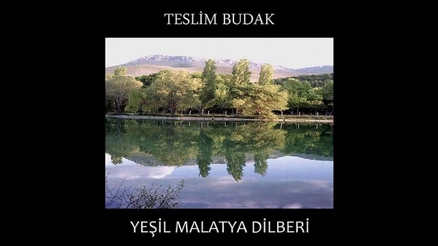 Teslim Budak - Yeşil Malatya Dilberi (Full Albüm)