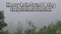 Heavy Rain Sound & Fog Kaeng Krachan National Park