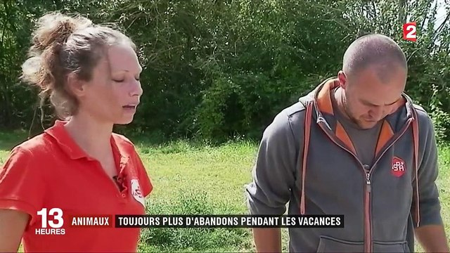 Animaux : toujours plus d'abandons pendant les vacances