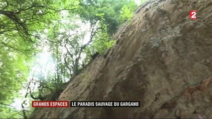Italie : le paradis sauvage du Gargano