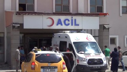 Bingöl'de Ayı Saldırısına Uğrayan Çobanı Ölümden Köpeği Kurtardı