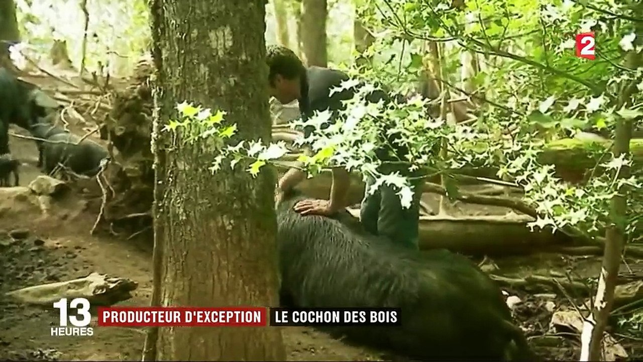 Pas-de-Calais : les étals du marché au fil de l'eau à Clairmarais