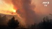 Bombeiros lutam contra incêndios florestais na Grécia