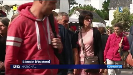 Bretagne : la vente d’œufs en circuit court fait un carton