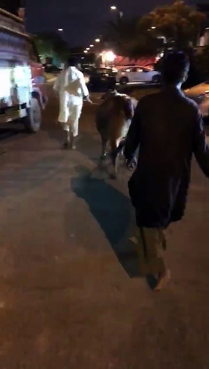 1 dost k ghar maal unload hote hue - Cow Mandi 2017 - Eid ul Azha 2017