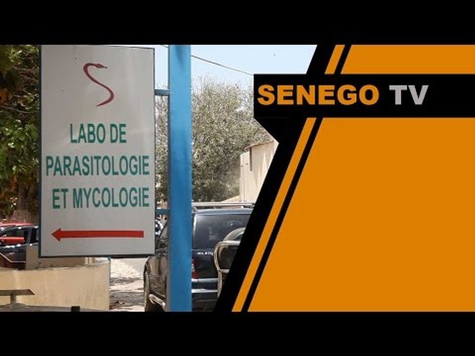 senego tv micro trottoir grève des médecins
