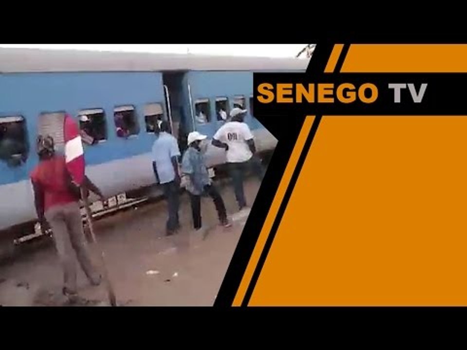 Senego TV Petit train bleu