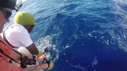 2017 Bermuda Billfish Blast Tournament