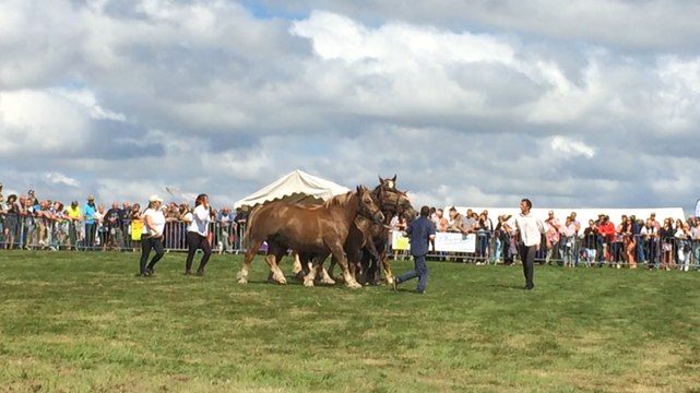 Des milliers de visiteurs à la Foire du Ménez-Bré