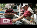 Nuevo centro de atención de enfermedades tropicales en México / Vianey Esquinca