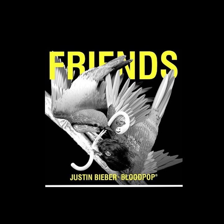 Justin Bieber ft Bloodpop - Friends