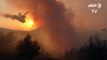Bomberos luchan contra tres incendios forestales en Grecia
