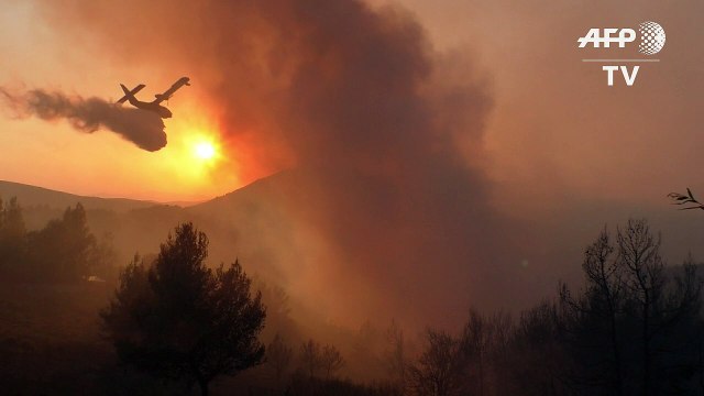 Bomberos luchan contra tres incendios forestales en Grecia