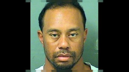 Golfstar Tiger Woods mit Medikamenten-Cocktail am Steuer