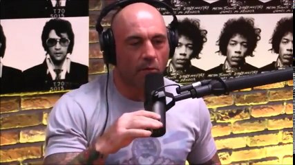 Joe Rogan_ Fascinating Conversation on DMT and Consciousness
