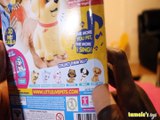 LITTLE LIVE PETS SWEET TALKING PUPPY RECORD & REPEAT REVIEW   UNBOXING  Toys BABY Videos