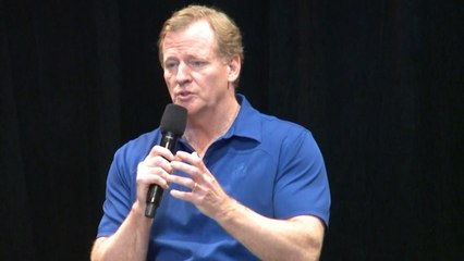 Roger Goodell offers opinion on national anthem protests