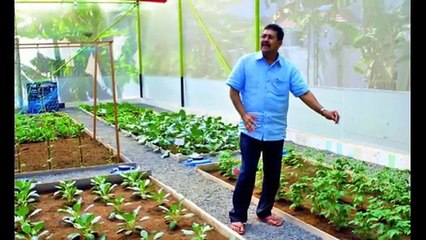 ADVANCE AGRICULTURE _ AGRICULTURE IN ISRAEL _ HI TECH AGRICULTURE IN INDIA