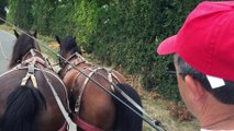 Patrice Bagilet présente ses chevaux d'attelage