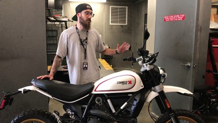 2017 Ducati Scrambler Desert Sled Dyno Test