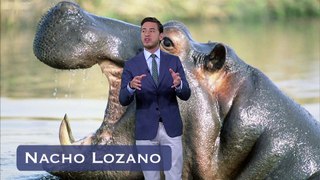 NACHO LOZANO 15AGO2017 ok.mp4