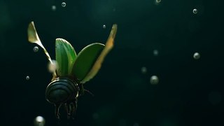 CGI Animated Spot HD Insects Spot by Ramtin Ahmadi MovieBuzz Clips