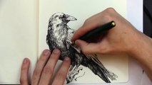 The Raven ~ Edgar Allan Poe (Reading and Sketch)