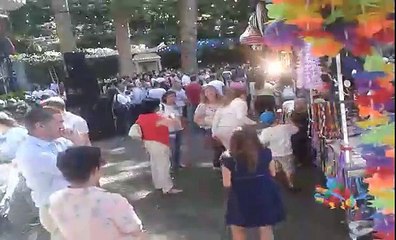 Árvore cai na Madeira