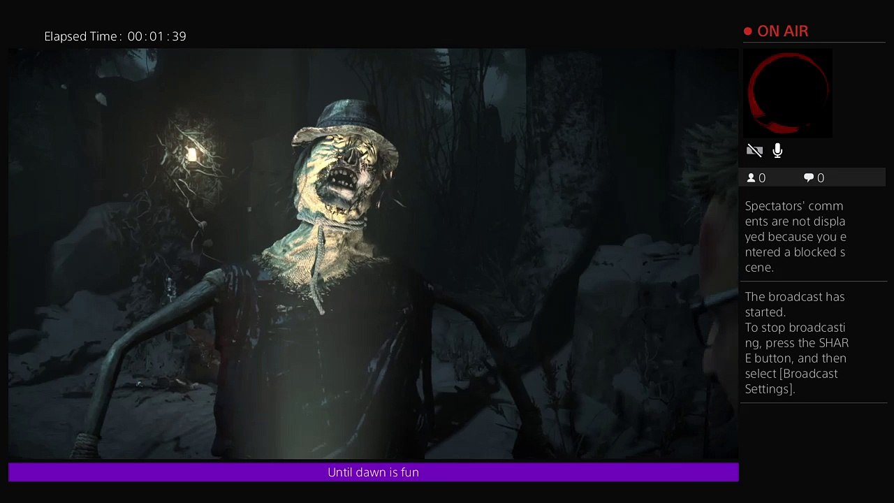 Suicidesquide's playing until dawn (6)