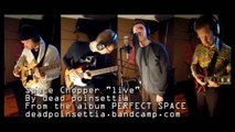 Space Chopper 'live' - dead poinsettia (Original)