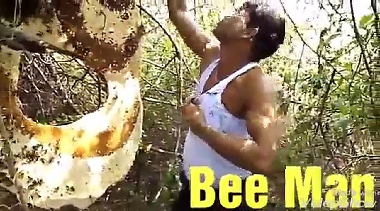 Amazing people of world BEE MAN ( 320 X 576 )